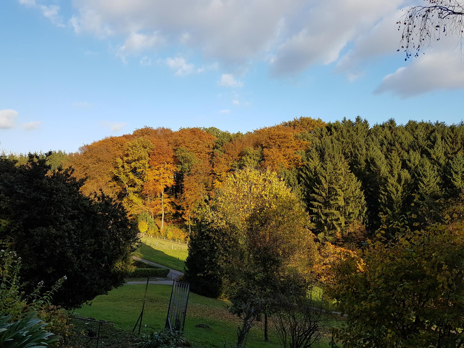 Medizinische Fachangestellte Pflegefachkraft Hauswirtschafterin Bergisches Land Pflegeteam Kleeblatt Overath Marialinden Lohmar