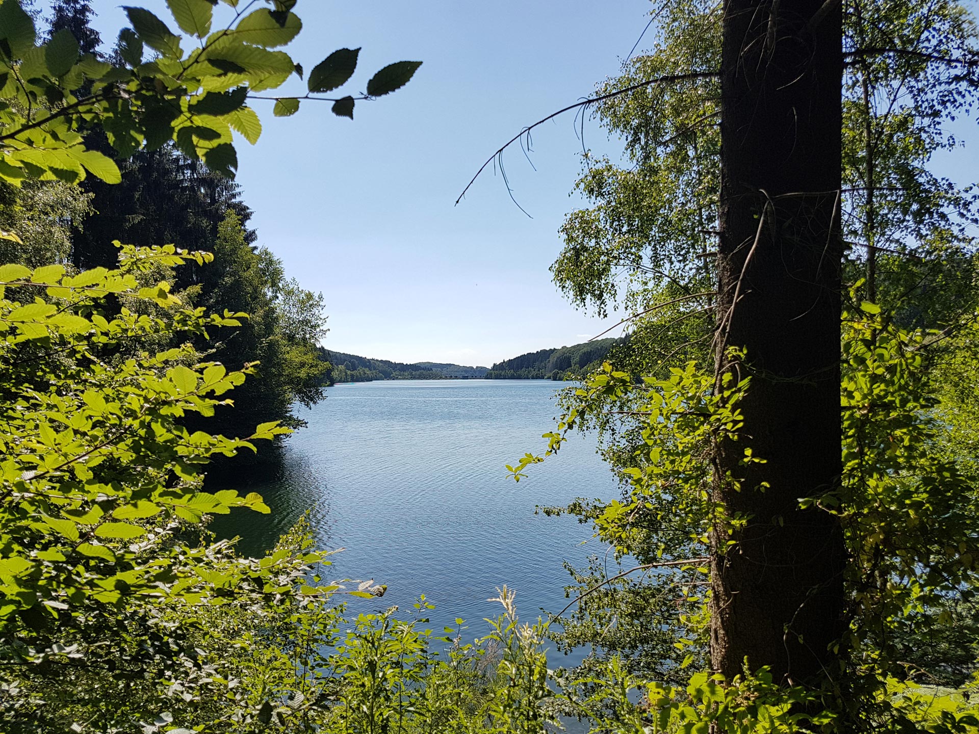 Pflegegrade Altenpflege Marialinden Engelskirchen Bergisches Land Pflegeteam Kleeblatt Overath